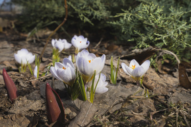 Similar image 21169990