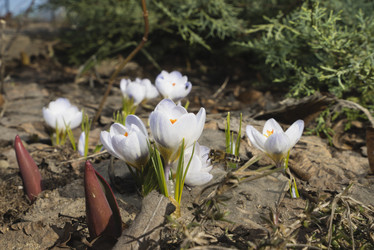 Similar image 21169991