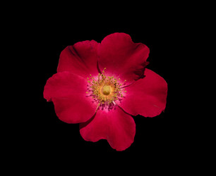 Similar image 21169992