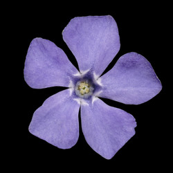 Similar image 21169995