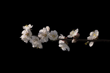 Similar image 21169997