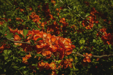 Similar image 21169999