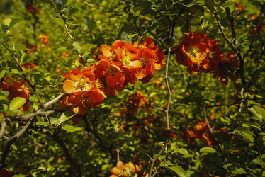 Similar image 21170001