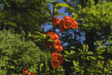 Similar image 21170003