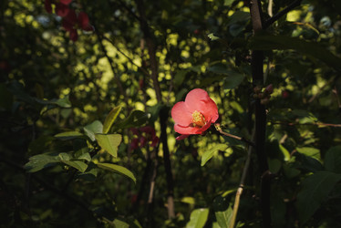 Similar image 21170006