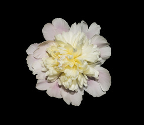 Similar image 21170007