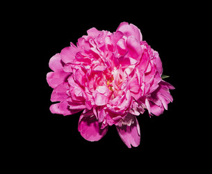 Similar image 21170009