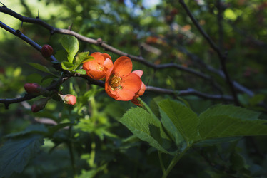 Similar image 21170010