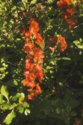 Similar image 21170012