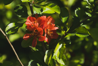 Similar image 21170015