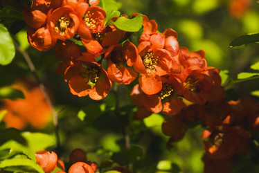 Similar image 21170016