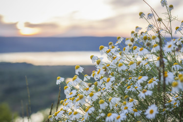 Similar image 21175957