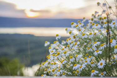 Similar image 21175962