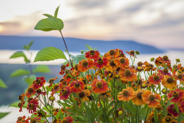 Similar image 21175963