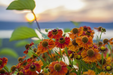 Similar image 21175965