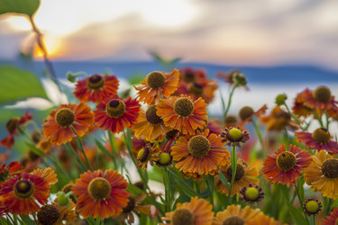 Similar image 21175966