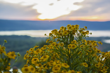 Similar image 21175977