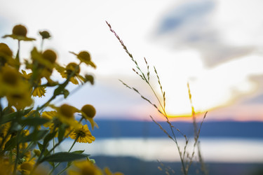 Similar image 21175980