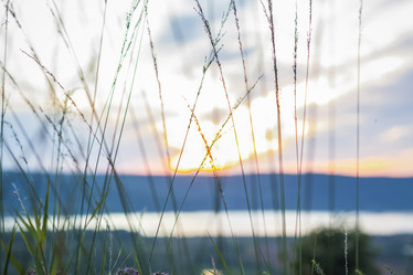 Similar image 21175981