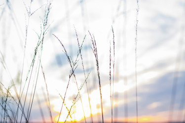 Similar image 21175984