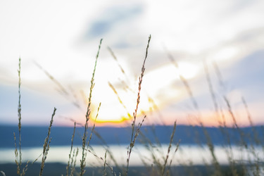 Similar image 21175985