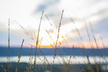 Similar image 21175987