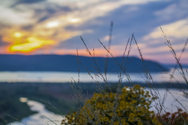 Similar image 21175990