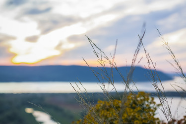 Similar image 21175991