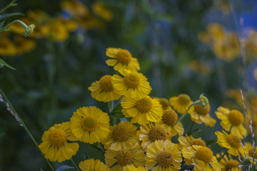 Similar image 21175994