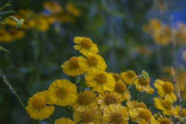 Similar image 21175995