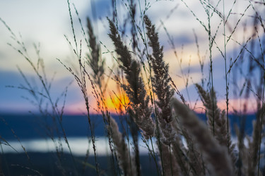 Similar image 21175996