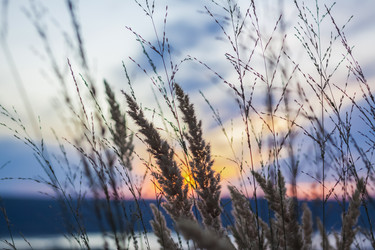 Similar image 21175999