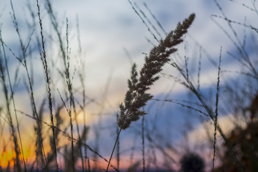 Similar image 21176000