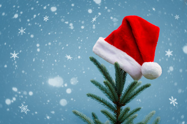 Similar image 21170021