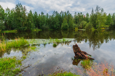 Similar image 21172140