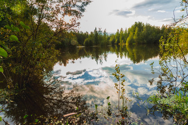 Similar image 21172141