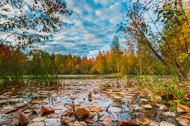 Similar image 21172142