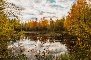 Similar image 21172144