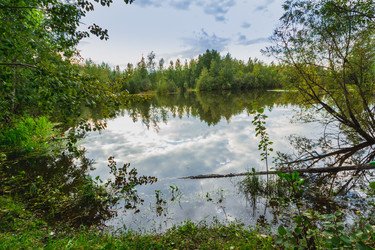 Similar image 21172145