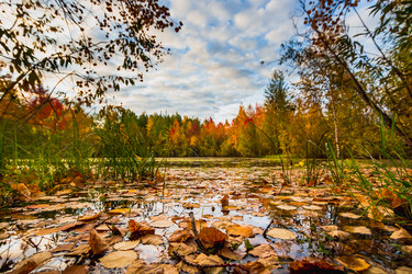 Similar image 21172146