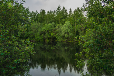 Similar image 21172147