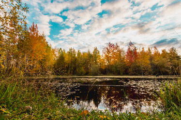 Similar image 21172148