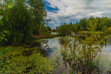 Similar image 21172149