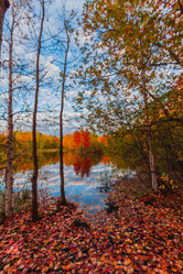 Similar image 21174618