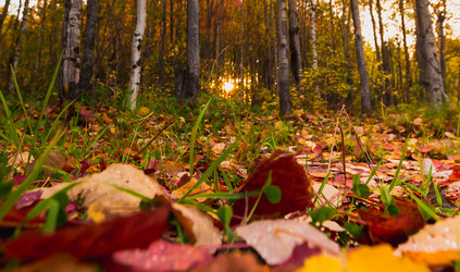 Similar image 21174620