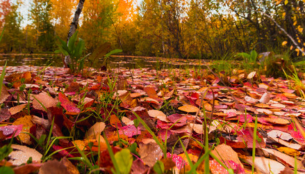 Similar image 21174637