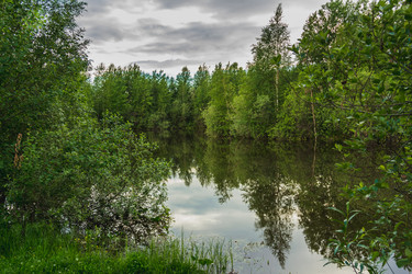 Similar image 21174638