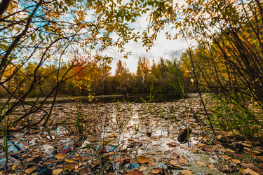 Similar image 21174639