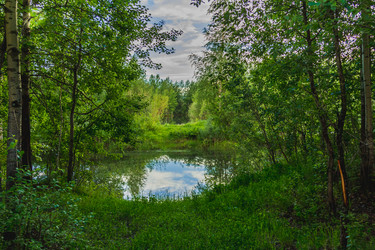 Similar image 21174640