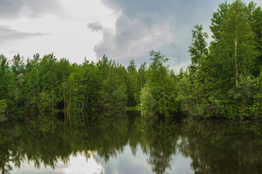 Similar image 21174642